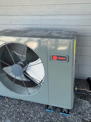 WhatsApp Image 2024-04-18 at 7.41.16 p. m. (5)